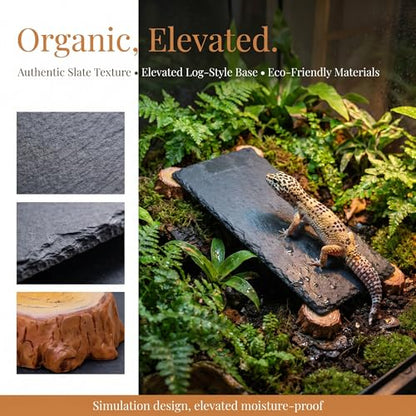 Bearded Dragon Basking Platform with Wooden Stakes, Large Reptile Feeding Station & Tank Accessories, Natural Slate Rock for Climbing and Teething, Habitat Decor for Lizard (Black)
