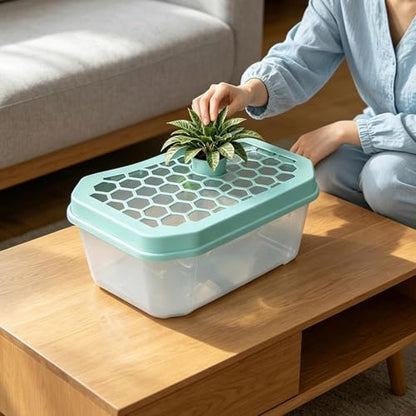 Turtle Aquarium Aquatic Reptile Terrarium | Small Turtle Tank for Living Room Basking Tortoise Crayfish Hermit Crabs Frog Reptile Desktop Home Breeding