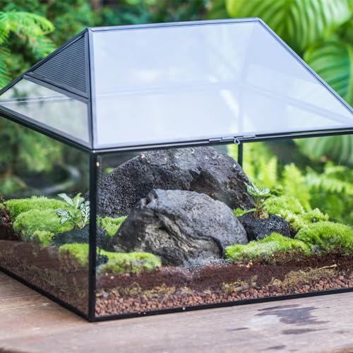 NCYP Large Geometric Glass Terrarium Box with Swing Lid for Tarantula, Snail - 14x12x12 Inches Glass Enclosure (Terrarium Only)