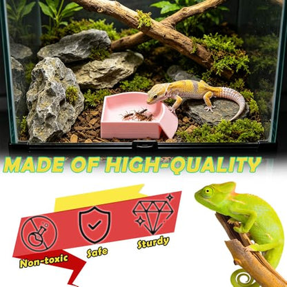 4 Pack Corner Reptile Food Water Dish, 3D Printed Quadrant Feeding Bowl for Leopard Gecko Lizard Bearded Dragon Chameleon Snake, Plastic Worm Feeder Plate for Small Reptile Pet Habitat
