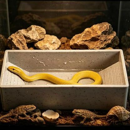 Reptile Water Bowl Non-Slip Bathing Pool | Reptile Food Water Bowl for Geckos Snakes Pets Habitat Aquarium Terrarium Outdoor