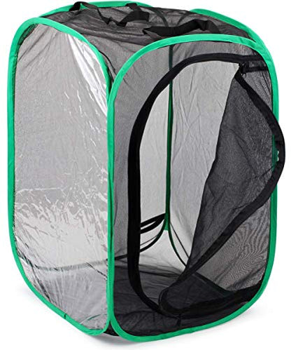RESTCLOUD Insect and Butterfly Habitat Cage Pop-up 23.6 Inches Tall | Butterfly Terrarium, Enclosure, Tight Mesh - color: Black With Green, size: 15.7 x 15.7 x 23.6 inches
