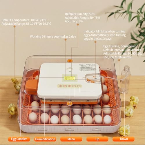56 Egg Incubator with Temperature & Humidity Control | Automatic Egg Turning, Egg Candler, Automatic Water Filling, Day Counter