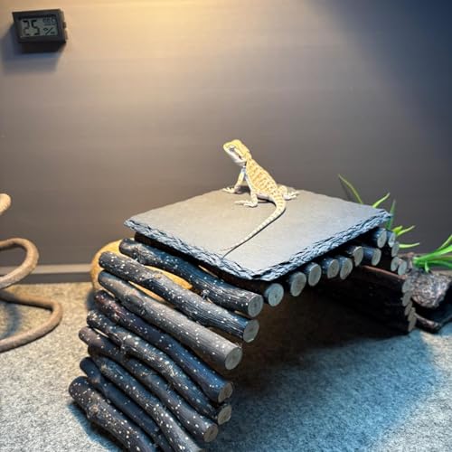2 Pack Reptile Basking Platform 11.8 × 6" + 4", Reptile Slate, Basking Rock, Slate Tiles Rocks for Reptiles,Terrarium Bowls for Bearded Dragon Tortoise Turtle Ball Python Snake Lizard Gecko - size: 11.8 × 6 IN + 4 IN