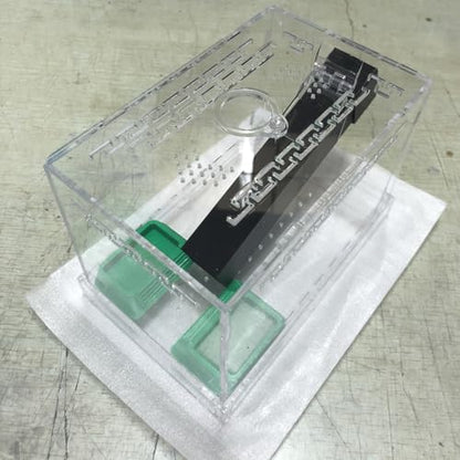 Crickets Breeding Box Equipped with Food Water Basins and Absorbent Cotton Breeding Case Ventilated Crickets Enclosure