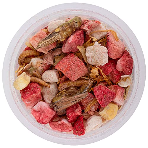 Healthy Herp Box Turtle Food Instant Meal for Reptiles - Nutritious Turtle and Tortoise Food, Habitat Accessories - Made in USA, Quick Prep - 7 x 0.19 oz (5.4g) Cups - size: 0.19 Ounce (Pack of 7), style: 7-Pack Cups