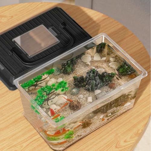 Reptile Keeper - 23x13x15.5cm Cric Ket Cage, Outdoor Container, Reptile Feeding Box Lizard Tarantula | Portable Habitat Feeding Box with Handle Tank Carrier for Pet, Gecko Frog