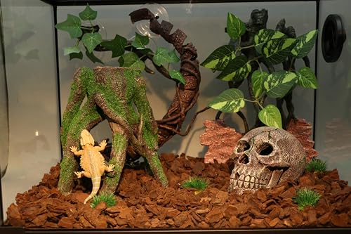 AQUA KT Aquarium Tree Stump Branch Rock Fish Hiding Place for Betta Cichlid Goldfish Fish Tank Aquarium Landscape Decoration