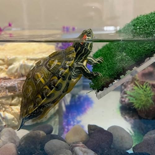 Turtle Basking Platform Slope Habitat Decor Reptile Resting Drying Platform Floating Island Moss(S)