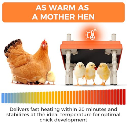 Smart Chick Brooder Heating Plate 10"x10" with Digital Temp Control (95℉-149℉), Stepless Adjustable Height & Anti-Roosting Cone, Mother Hen Chick Heater for Up to 15 Chicks - color: ORG-DSP-10