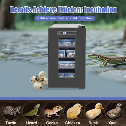 Reptile Incubator, 23L Cabinet Incubators for Hatching Eggs Scientific Lab Incubator Reptile Egg Incubator for Hatching Chicks 50-104°f Precise Temperature Control Cooling and Heating
