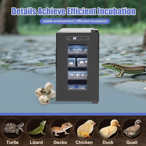 Reptile Incubator, 23L Cabinet Incubators for Hatching Eggs Scientific Lab Incubator Reptile Egg Incubator for Hatching Chicks 50-104°f Precise Temperature Control Cooling and Heating