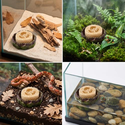 5Pcs Dubia Roach Container Set, Dubia Roach Habitat, Reptile Water Dish, Hydration Station for Isopods and Crickets