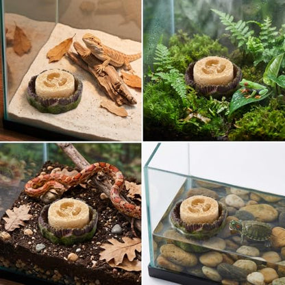 5Pcs Dubia Roach Container Set, Dubia Roach Habitat, Reptile Water Dish, Hydration Station for Isopods and Crickets