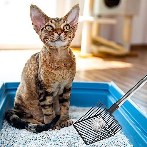 PUPTECK Metal Cat Litter Scoop Adjustable Long Handle Stainless Steel | Fast Sifting Chicken Poop Scooper Coop Accessories, Heavy Duty & Non-Stick Kitty Litter Sifter with Deep Shovel - size: 20"-40"(Adjustable with snap buttons)