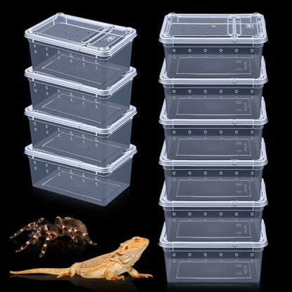 10 Pcs Reptile Breeding Box, Clear Plastic Terrarium with Vent Holes, Small Animal Enclosure for Spider Scorpion Lizard Insect, 5.9x3.9x2.55 Inch