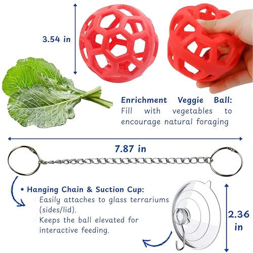 Bearded Dragon Reptile Hammock Enrichment Cage Accessories, Bearded Dragon Feeder Ball and Breathable Mesh Hammock, Lizard Hammocks Lounger Bed Rest and Feed Toy, Reptile Tank Accessories (Red) - color: Red