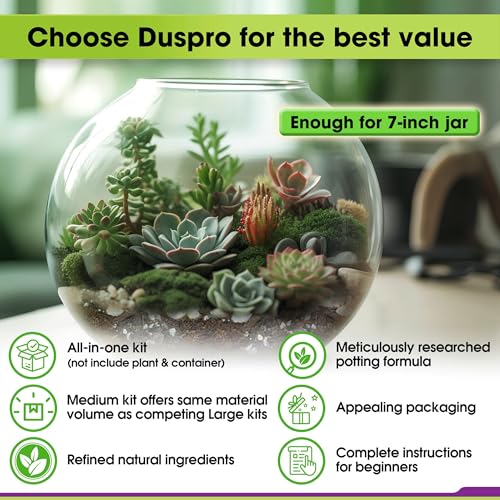 All-in-One DIY Terrarium Starter Kit for Air Plant & Succulent | Includes Potting Soil, Pumice, Zeolite, Green Moss, Sphagnum Moss, Decorative Stone, Mesh, Tools & Guide - size: Terrarium Kit