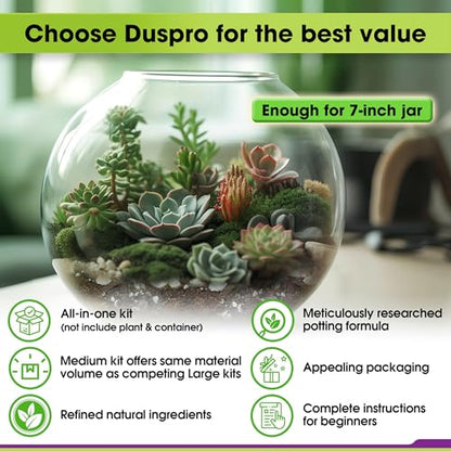All-in-One DIY Terrarium Starter Kit for Air Plant & Succulent | Includes Potting Soil, Pumice, Zeolite, Green Moss, Sphagnum Moss, Decorative Stone, Mesh, Tools & Guide - size: Terrarium Kit