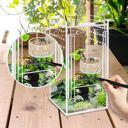 Jumping Spider Magnetic Water Feeding Dish for Small Pets | Magnetic Water Bowl with Dropper & Tweezer-Tiny Food Dishes Water Dish for Jumping Spider, Tarantula & Other Small Pets