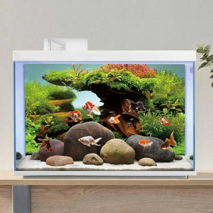 AWERT 48x24 inches Wood Fish Tank Background Seaweed Aquarium Background River Bed & Lake Aquarium Background Vinyl Background | AWERT Natural Moss Aquatic Plant River Bed & Lake Vinyl Background - size: 48x24in/120x60cm