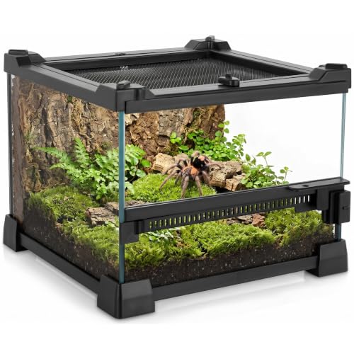 8"x8"x6" Reptile Terrarium, Single-Door Glass Terrestrial Vivarium for Small Arthropod Pets Such as Trinidad Dwarf Tiger Tarantulas, with Lock & Waterproof Deep Base Below Front Door