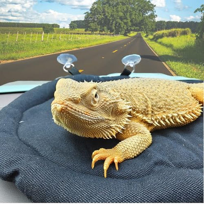Bearded Dragon Bed, Mat for Car Lizard Sleeping Bed Adsorbed on Glass Jar Cushion Washable for Travel Reptile Tank Accessories Small Animal Carrier for Lizard Leopard Gecko (Black) (Black)