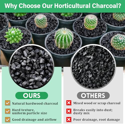 6QT All Natural Horticultural Charcoal- Activated Hardwood Plant Charcoal for Soil Amendment, Conditioning Bonsai Soil, Succulent Soil, Terrarium Supplies, Indoor Plant Potting Soil - color: 6 QT