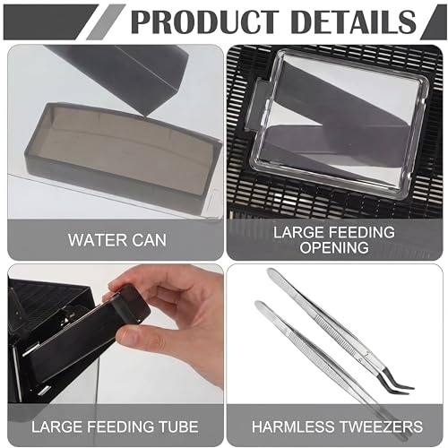 Cricket Keeper with Feeding Kit Transparency Cricket Keeper with Tubes Includes Feeding Tongs and Curved Tweezers Insect Breeding Box for Gecko Snake Lizards (2 Pack,7.09 x 4.33 x 6.3 Inches) - size: 7.09 x 4.33 x 6.3 Inches
