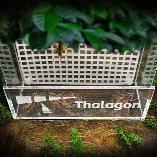 Bearded Dragon Feeder, Transparent Acrylic Reptile Feeding Box, Chameleon Bug Bowl, Wall-Mounted Insect Bowl with Suction Cups, Tank and Aquarium Accessories for Lizard Gecko Frog