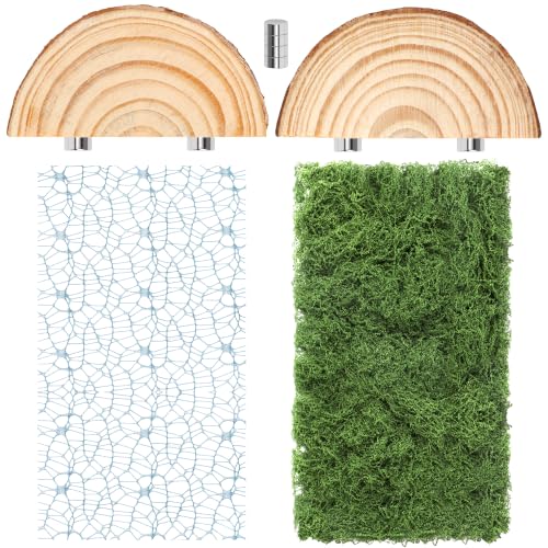 Jumping Spider Habitat Décor Jumping Spider Enclosure Accessory | 2PCS Spider Web, 1 Piece Faux Grass, 2PCS Natural Wood Ledge, 4PCS Strong Magnet for Small Reptile Enclosures