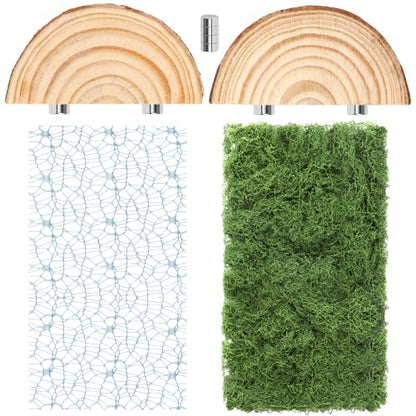 Jumping Spider Habitat Décor Jumping Spider Enclosure Accessory | 2PCS Spider Web, 1 Piece Faux Grass, 2PCS Natural Wood Ledge, 4PCS Strong Magnet for Small Reptile Enclosures