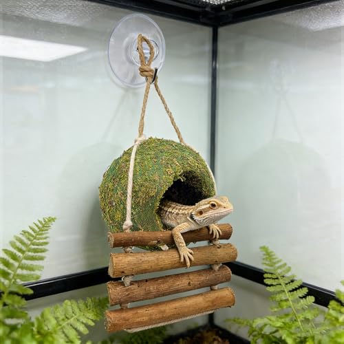 Handmade Moss Reptile Hanging Nest 4 Pcs Set, Small 4″ x 4″ | Gecko Hideout with Ladder, Terrarium Decor for Crested Gecko, Leopard Gecko, Lizard, Small Reptiles & Amphibians - size: Small 4″ x 4″