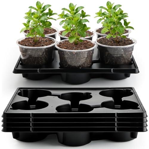 RooTrimmer 30 Pack 6 Inch Clear Nursery Pots and 5 Pack 6 Cell Round Plant Pot Trays, Sturdy Seeds Starting Germination Shuttle Carrying Trays, Planter Nursery Propagation 5 Sets - color: Black + Clear, size: 6 Inch 30 Pack Pots With 5 Pack Trays