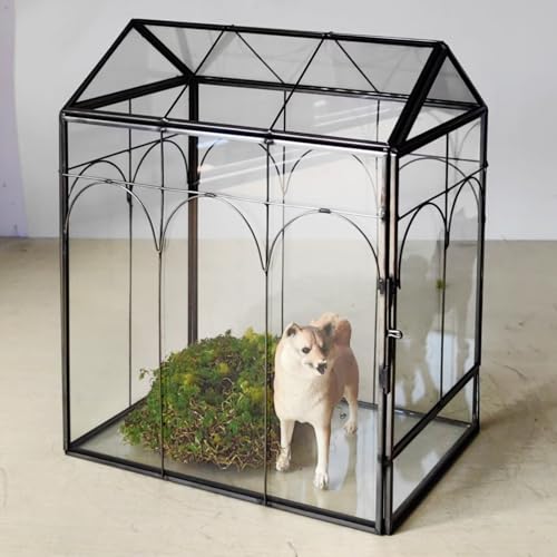 Geometric Plant Terrarium with Lid (Black with Side Door) | House Succulent Terrarium Kit for Succulents Cacti Snail, Home Tabletop Miniature Terrarium - color: Black with side door