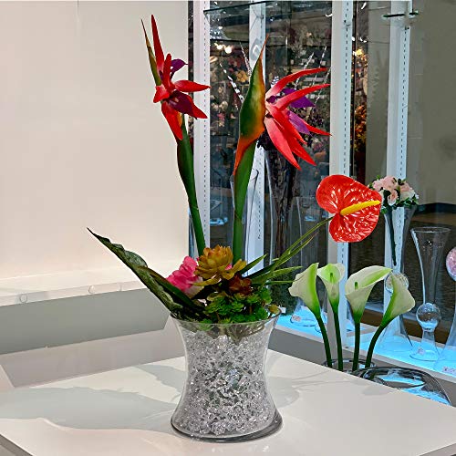 WGV Unique Bouquet Vase, 7" W, 7" H, Clear Short Hurricane Concaved Neiman Glass Floral Container, Home Wedding Event Decor, 1 Piece (VHV0707) - size: Concaved 7"H