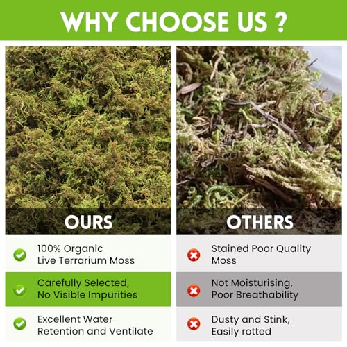 Riare 3.5oz Natural Sphagnum Moss for Reptiles, Terrarium Substrate Bedding | 4QT High Expansion, Moisture Retention, Helps Shedding, Long Fibered Dried Moss for Leopard Gecko, Snake, Frog, Turtle - color: 3.5 OZ