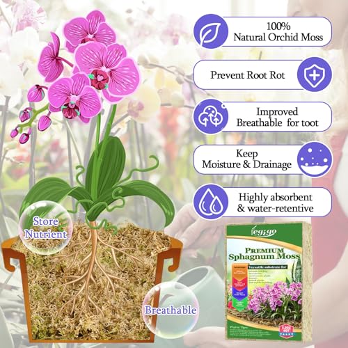 5.3oz Sphagnum Moss for Plants, 6QT Orchid Moss Potting Mix | Long Fiber Sphagnum Moss Dried for Plants Indoor, Orchid Repotting, Succulent, Carnivorous Plants, Terrarium and Reptiles - size: 5.3oz