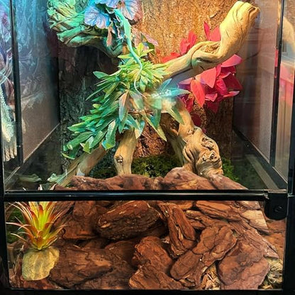 Hamiledyi Reptile Bark Bedding Tortoise Habitat Bedding Natural Wood Chips Terrarium Substrate Bearded Dragon Tank Accessories for Snake Box Turtle Gecko Hermit Crabs Pack of 2 (Large) - size: 2 Pcs-Large Reptile Bark Bedding