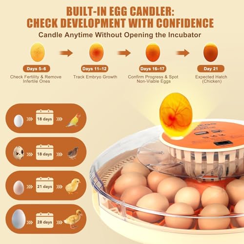 ZEMIRO CHARGE Serie II - 30 Egg Incubator for Experienced Hands-On Hatchers, Auto Egg Turn, Manual Humidity Control (Water Fill), Temperature Control, Real-Time Display, Egg Candler - size: 30-Egg Orange