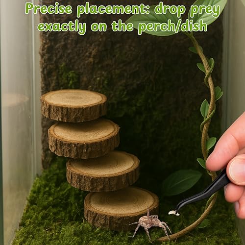 Jumping Spider Feeding Dish Kit with Tweezers, Dual Cup Food Bowl with Suction Mount, Small Reptile/Tarantula Enclosure Accessories (Feeding Ledge)