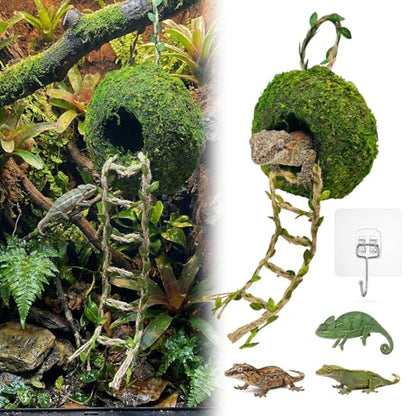 Moss Cave Hideout with Hanging Rope & Hemp Climbing Ladder – Natural Reptile Tank Decor Accessories for Crested Geckos, Chameleons, Tree Frogs, Leopard Geckos & Snakes. Terrarium & Vivarium Decor (6") - size: 6"