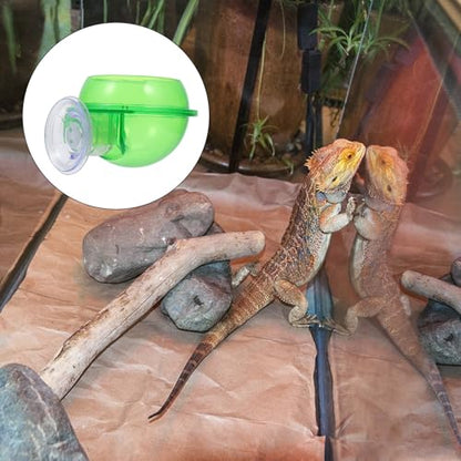 Reptile Feeding Bowls 2pcs Anti-Escape Water and Food Basins Stable Gecko Lizard Feeders for Terrarium Use