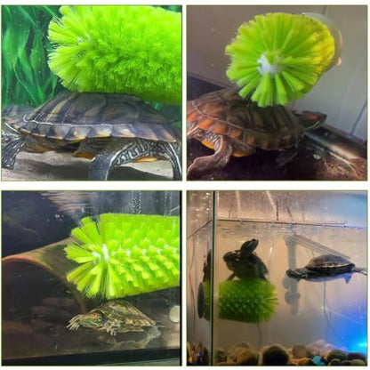 Turtle Brush with Suction Cup for Tank Scratches Back Brush Shell Cleaning Brush Scrub Red Eared Slider Turtle Exfoliate Brush for Remove Turtle Shell Scutes (Green) - color: Green