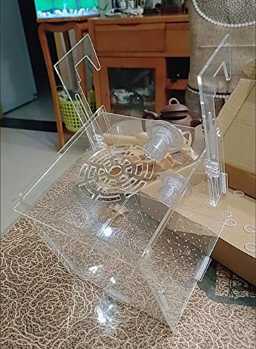 AWXZOM Acrylic Fish breeding Box, Acrylic Fish Isolation Box, Fish Separator for Aquarium, Hatchery Incubator with Suction Cups for Small Baby Fishes Shrimp Clownfish Guppy (5.9 * 5.9 * 5.9inch) - size: 5.9 * 5.9 * 5.9inch