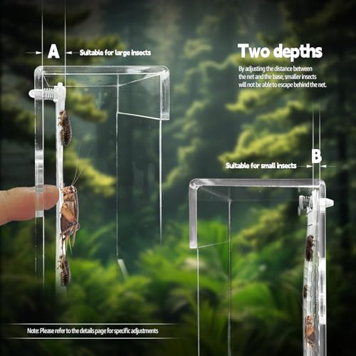 Bearded Dragon Feeder, Transparent Acrylic Reptile Feeding Box, Chameleon Bug Bowl, Wall-Mounted Insect Bowl with Suction Cups, Tank and Aquarium Accessories for Lizard Gecko Frog