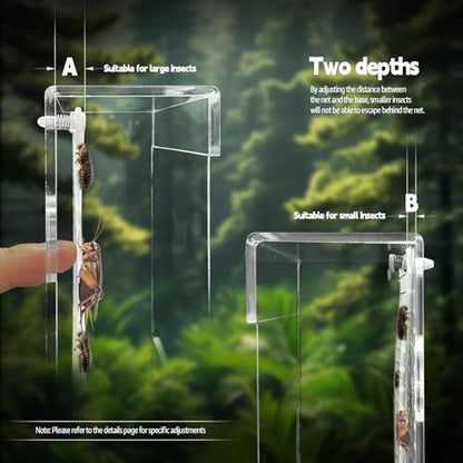 Bearded Dragon Feeder, Transparent Acrylic Reptile Feeding Box, Chameleon Bug Bowl, Wall-Mounted Insect Bowl with Suction Cups, Tank and Aquarium Accessories for Lizard Gecko Frog