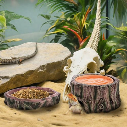 Reptile Hide Cave with Detachable Base, Humidity Dish | 3 in 1 Leopard Gecko Reptile Hideout for Shedding, Lizard Snake Hiding Place Terrarium Decor for Amphibians Snake Turtle