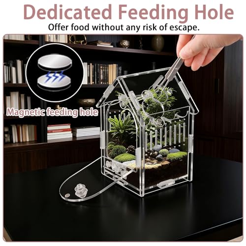 Acrylic Jumping Spider Enclosure 3.15"x3.15"x5.6" – Magnetic Front Opening Terrarium for Tarantulas, Mantis & Small Reptiles | Escape-Proof Habitat with Ventilation & No-Tool Assembly