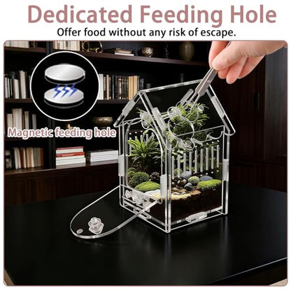Acrylic Jumping Spider Enclosure 3.15"x3.15"x5.6" – Magnetic Front Opening Terrarium for Tarantulas, Mantis & Small Reptiles | Escape-Proof Habitat with Ventilation & No-Tool Assembly
